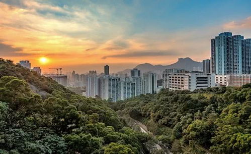 深圳一季度GDP同比下降6.6%，但房地產開發投資逆勢增長2.1%